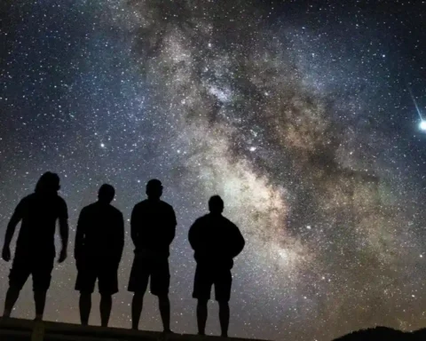 más allá de la vida