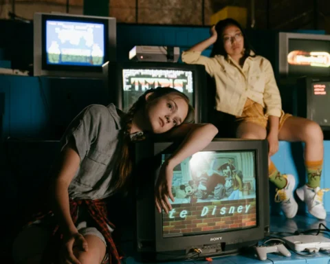 teoría de la simulación