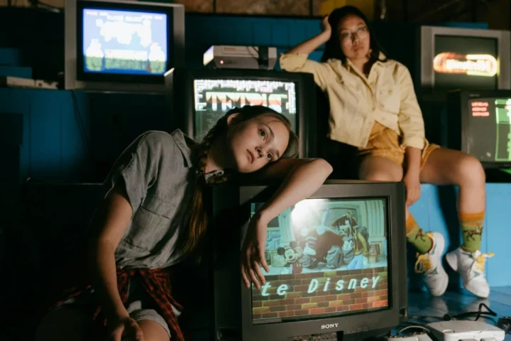 teoría de la simulación