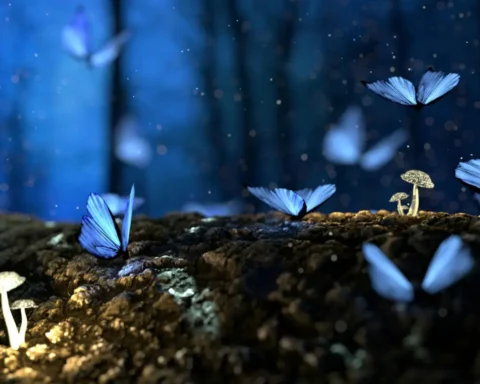 Teoría del Universo Holográfico: Realidad Ilusoria y Más