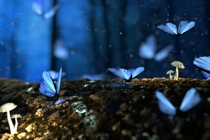 Teoría del Universo Holográfico: Realidad Ilusoria y Más